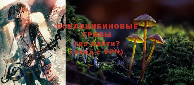 Псилоцибиновые грибы MAGIC MUSHROOMS  blacksprut маркетплейс  Конаково  закладки 